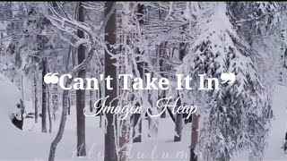 Can&#39;t Take It In || Imogen Heap • Subtitulada en español •ଓ.