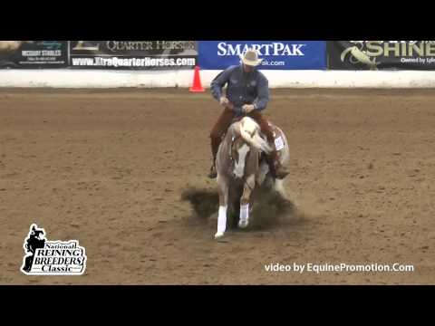 Shiners Crown Jewel 1st Go