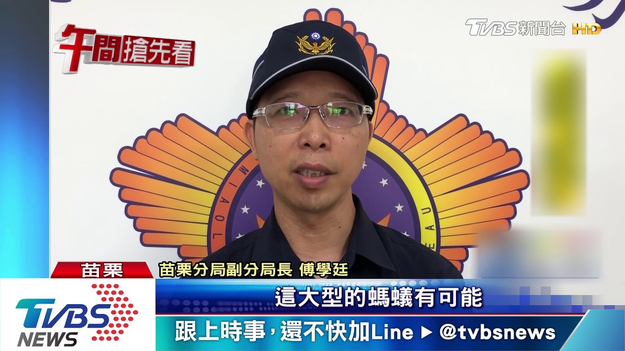 「蟻人」再犯 淘寶網購外來蟻販售不甩防疫