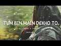 Tum Bin Main Dekho To Lofi mix song (slowed + reverb) || ONION LYRICS