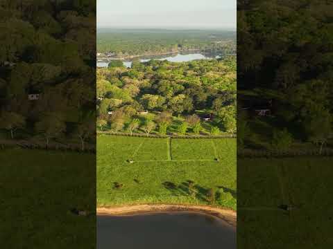 A THE LAST OF ITS KIND ON GEORGICA POND.