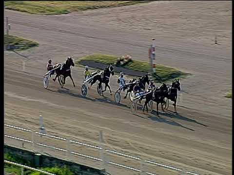 Trotto 30/06/2018 - 1ª prova di qualifica