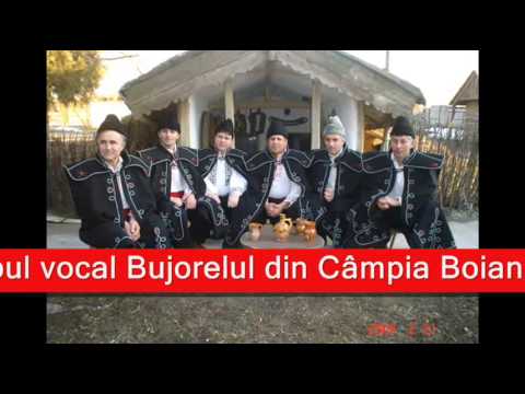 Grupul Bujorelul-Lunca mare , lunca verde