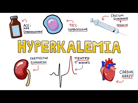 Understanding Wilson s Disease Hepatolenticular Degeneration