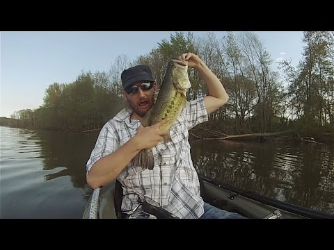 GoPro: Jim Moretti - Best Catch 5.12.15 - Fish