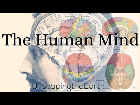 The Human Mind