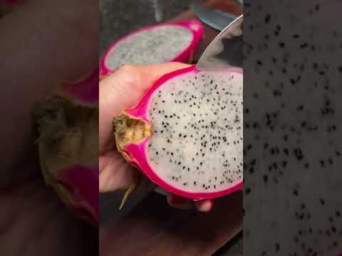 Cutting open another dragonfruit