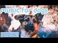 [NO ADS] Music for Dogs: Relaxation Tones to Calm Anxiety & Stress!