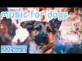 NO ADS Music For Dogs Relaxation Tones To Calm Anxiety Stress