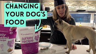 Changing Dog Food? Do This First (No Upset Stomach)