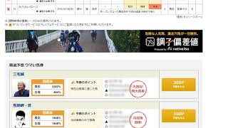 ぐだぐだ競馬予想