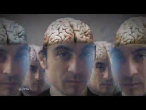 ADRENALINE PRIME TIME