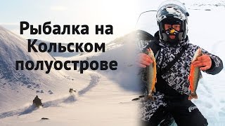 Как правильно ловить гольца на жерлицы