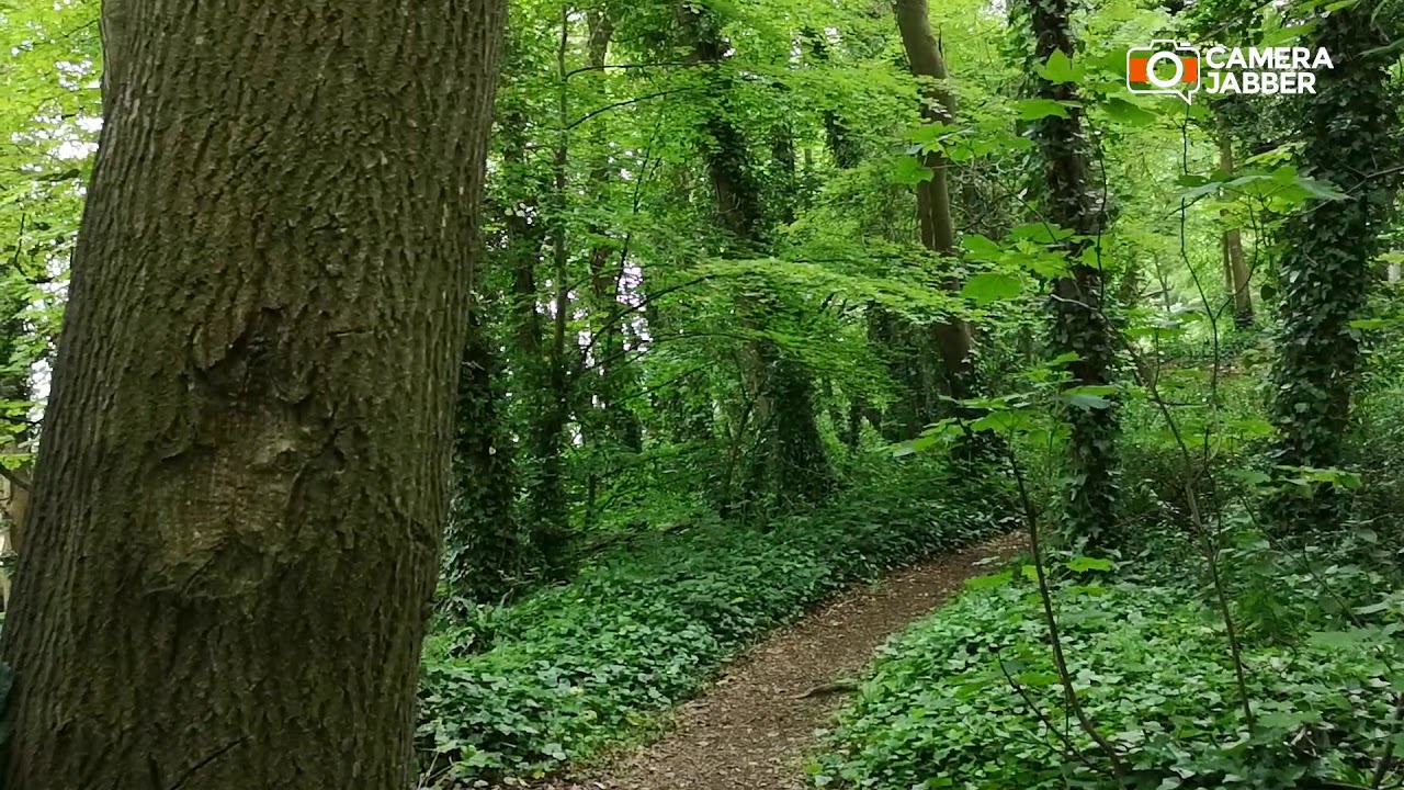 Стабилизатор Трехосевой Moza Mini-S Essential