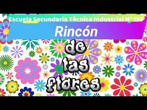 Reportaje sobre Rincón de las Flores, Tezonapa, Veracruz