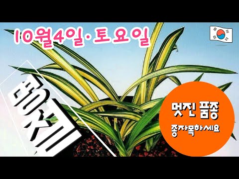 유튜브 썸네일