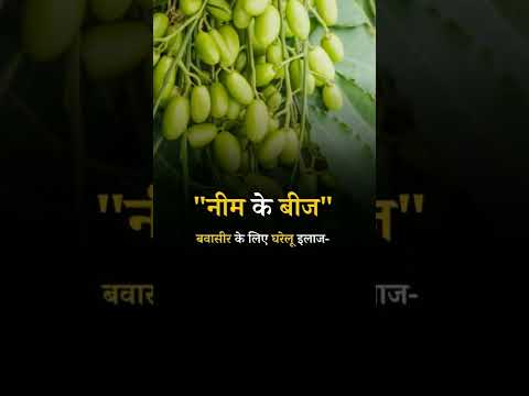 Natural and home remedies for "hemorrhoids": Neem seeds #neemseeds #homeremedies #homeremediesforyou