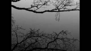 Nomy - She reminds me of you