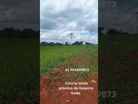 Caturaí Goiás