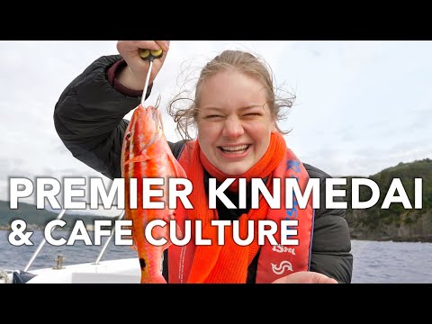 Premier Kinmedai & Cafe Culture - DISCOVER IZU SHIMODA