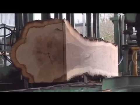 Kỹ thuật cưa gỗ sồi (gỗ oak)
