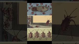 Illustration inspired in the song “Bugs” by Pearl Jam