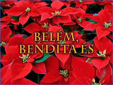 download lagu mp3 mp4 Hinos De Natal, download lagu Hinos De Natal gratis, unduh video klip Download Hinos De Natal Mp3 dan Mp4 Music Gratis