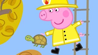 Peppa Pig English Episodes | Peppa Pig Saves Mr Tiddles!  Peppa Pig Official