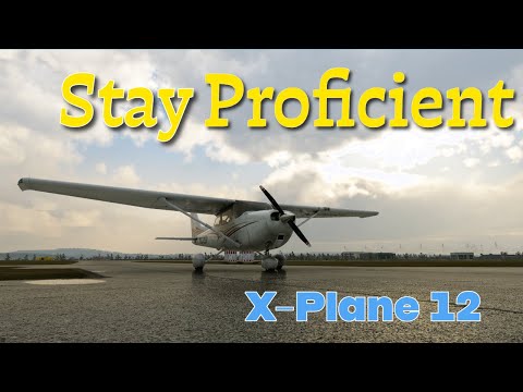 Hand-Flying a Crosswind Landing | Pilot Proficiency
