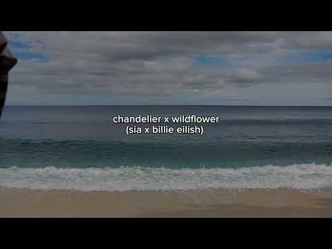 chandelier x wildflower (TIKTOK VERSION)