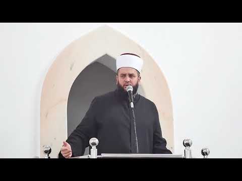 BUDI IZDRŽLJIV ᴴᴰ┇mr. Sead ef. Islamović