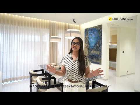 Asteria Project Video 1