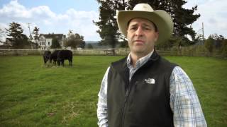 Humboldt Made: Eel River Organic Beef