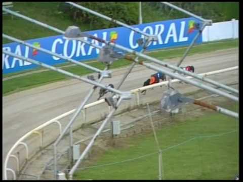 2017 CORAL SUSSEX CUP - HEAT 6 - T6 KING KID