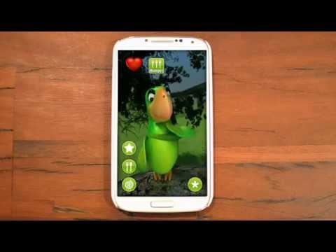 Talking Parrot Video