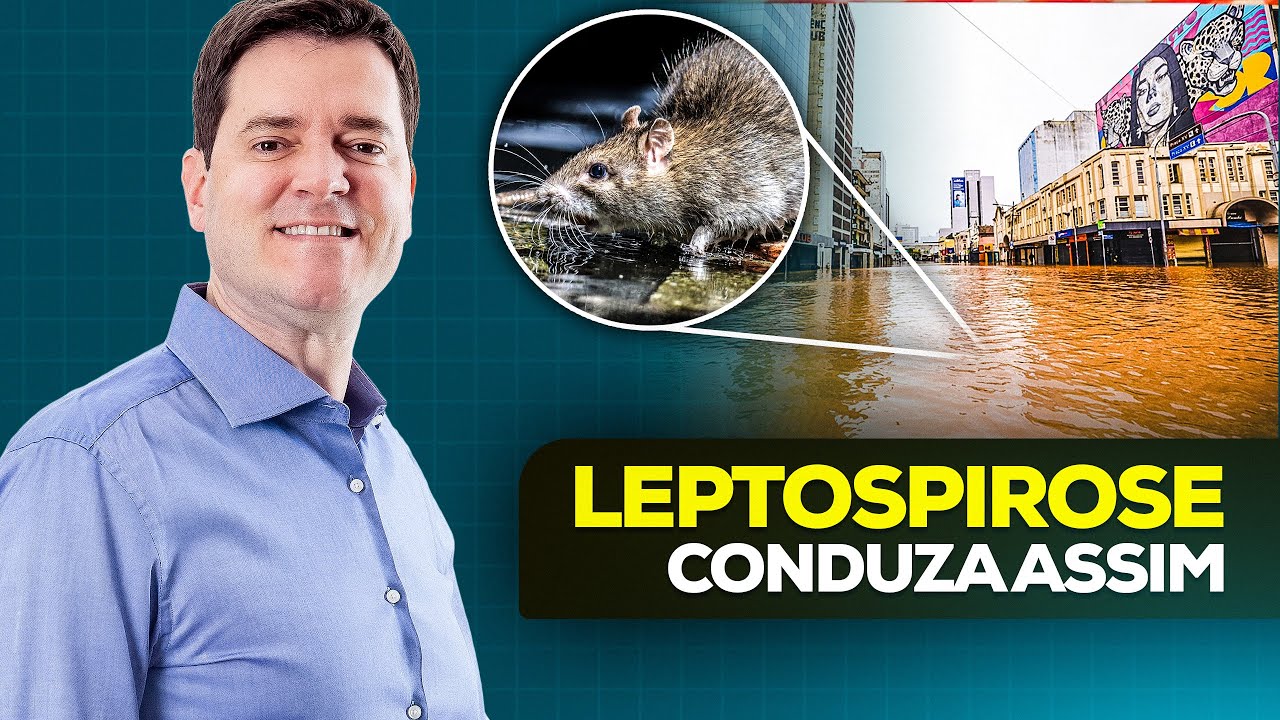 Leptospirose - Diagnóstico, Tratamento e Profilaxia