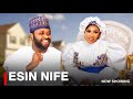 ESIN NIFE - A Nigerian Yoruba Movie Starring Wunmi Toriola | Fausat Balogun | Femi Adebayo