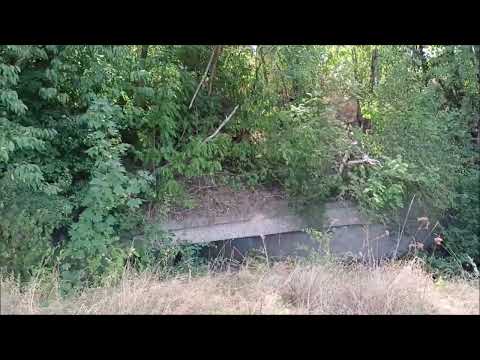 Wanderung ab Bavenstedt nach Drispenstedt durch den Borsumer Wald zur Waldgaststätte Jägersruh