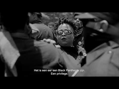 What You Gonna Do When the World's on Fire?