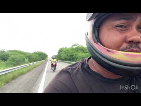 Caça de umbu no sertão de Cabrobó Pernambuco 