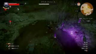 [ウィッチャー3ワイルドハント]ウィッチャーになる！！その7［ライブ］
