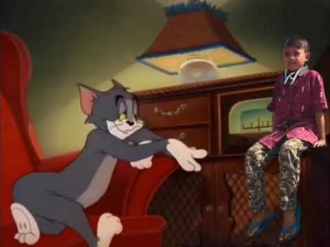 status wa usai sudah viral