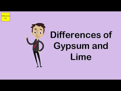 YouTube video about: Which of the following best describes bedded gypsum and halite?
