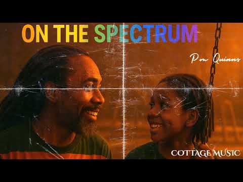 P.M Quinns - On The Spectrum