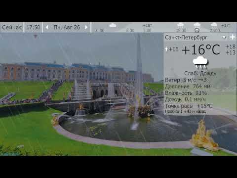 Погода. Санкт-Петербург. 25-28 августа 19 г.
