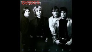 Diodes - Terminal Rock