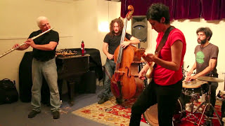 Vinny Golia, Ava Mendoza, Max Johnson, Brian Chase - at Douglass St Music, Brooklyn - Aug 13 2014