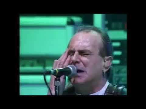 Sweet Home Chicago cover