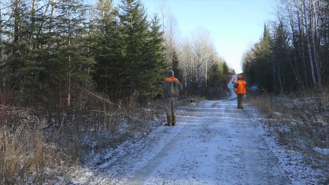 Grouse Hunting With Kap River