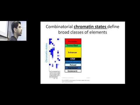 CCMB Seminar 03/08/2017 - Anshul Kundaje, PhD